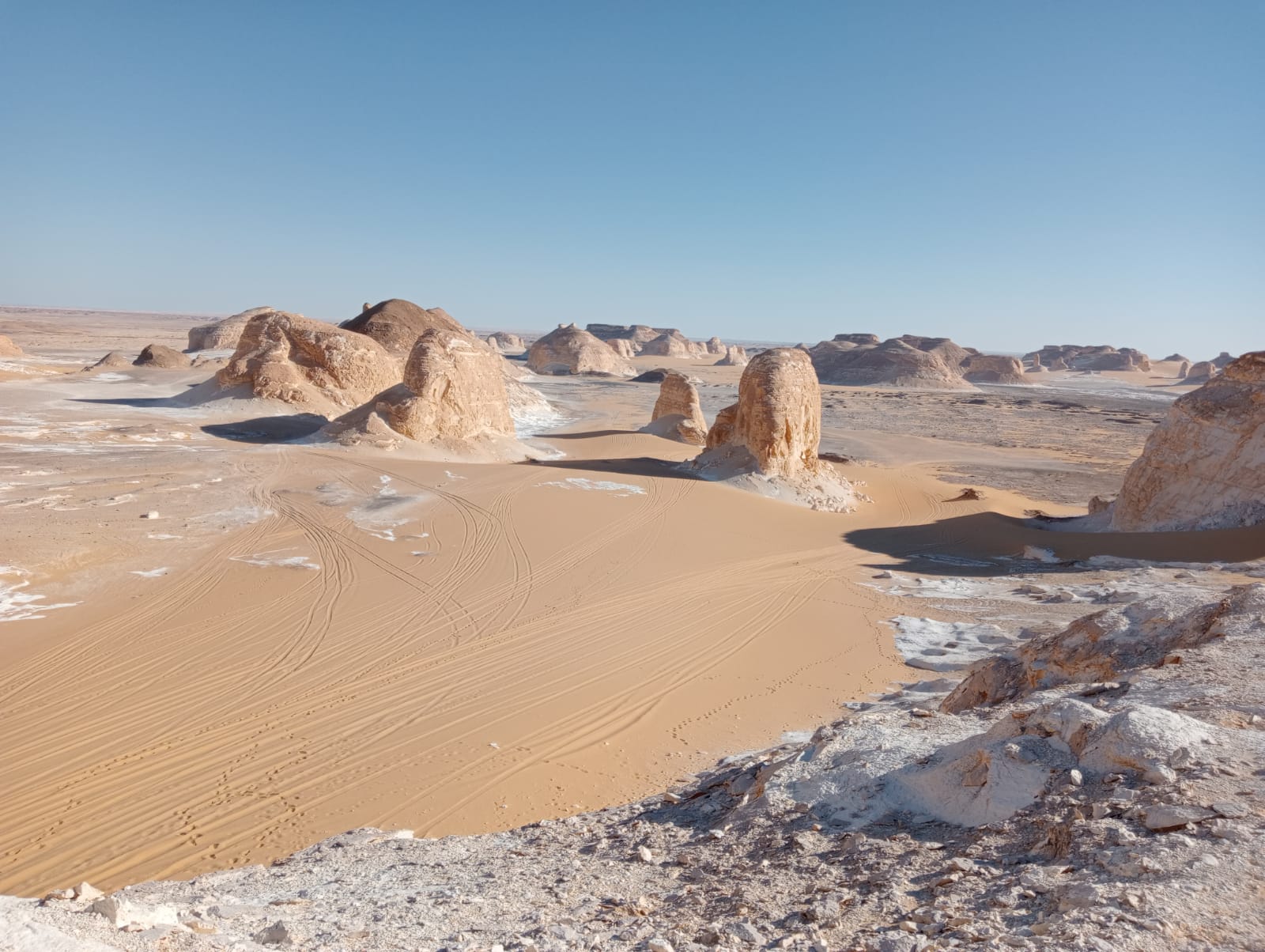 Click to open image!