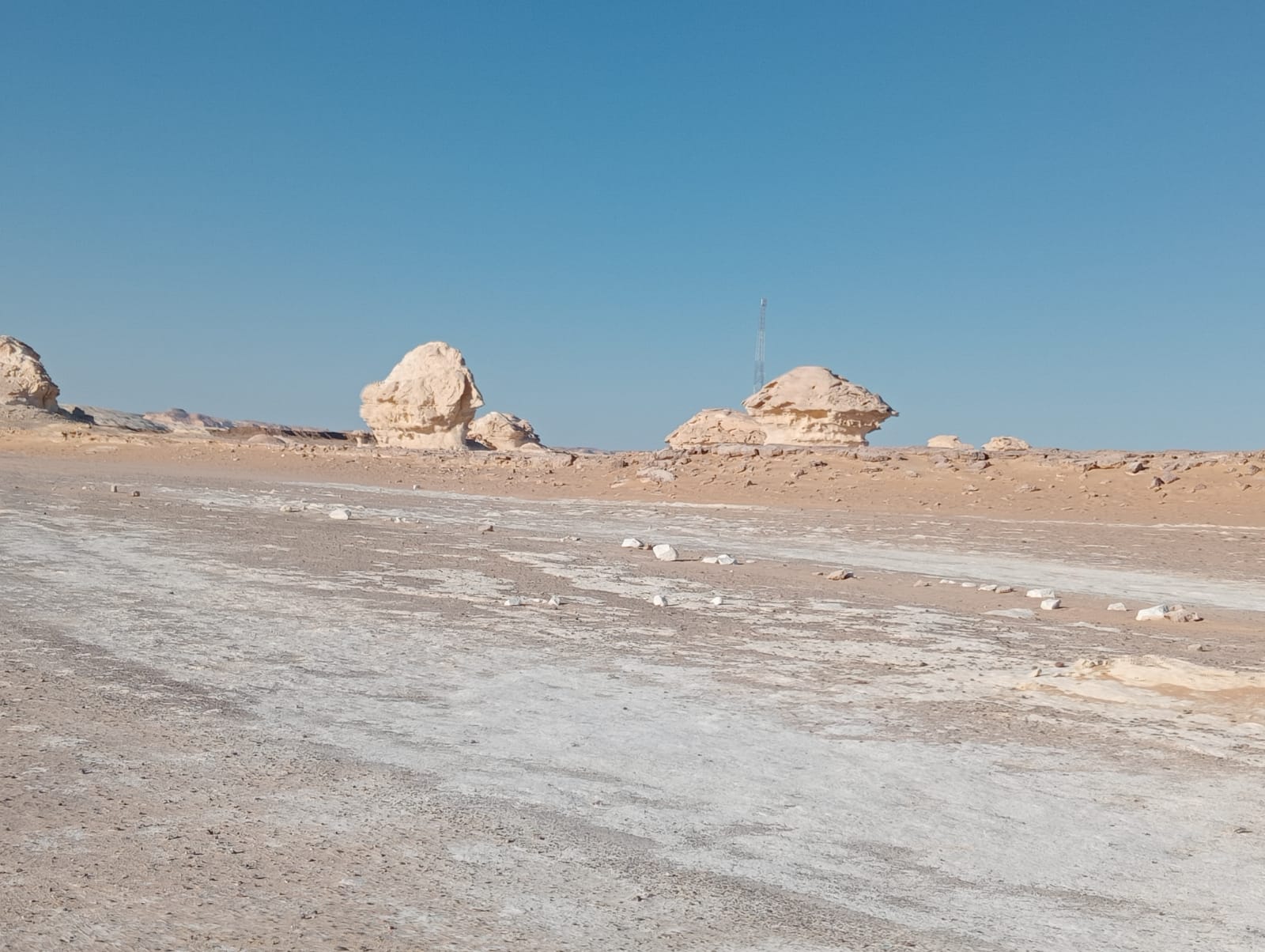 Click to open image!