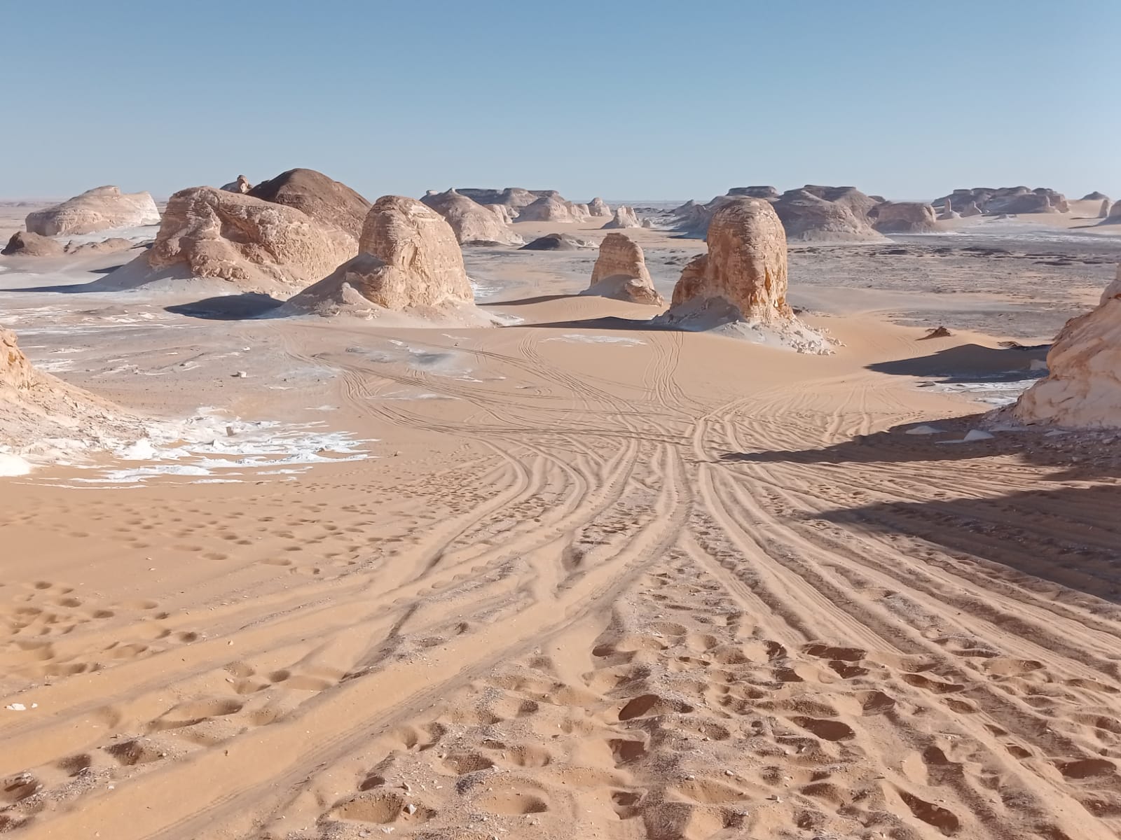 Click to open image!