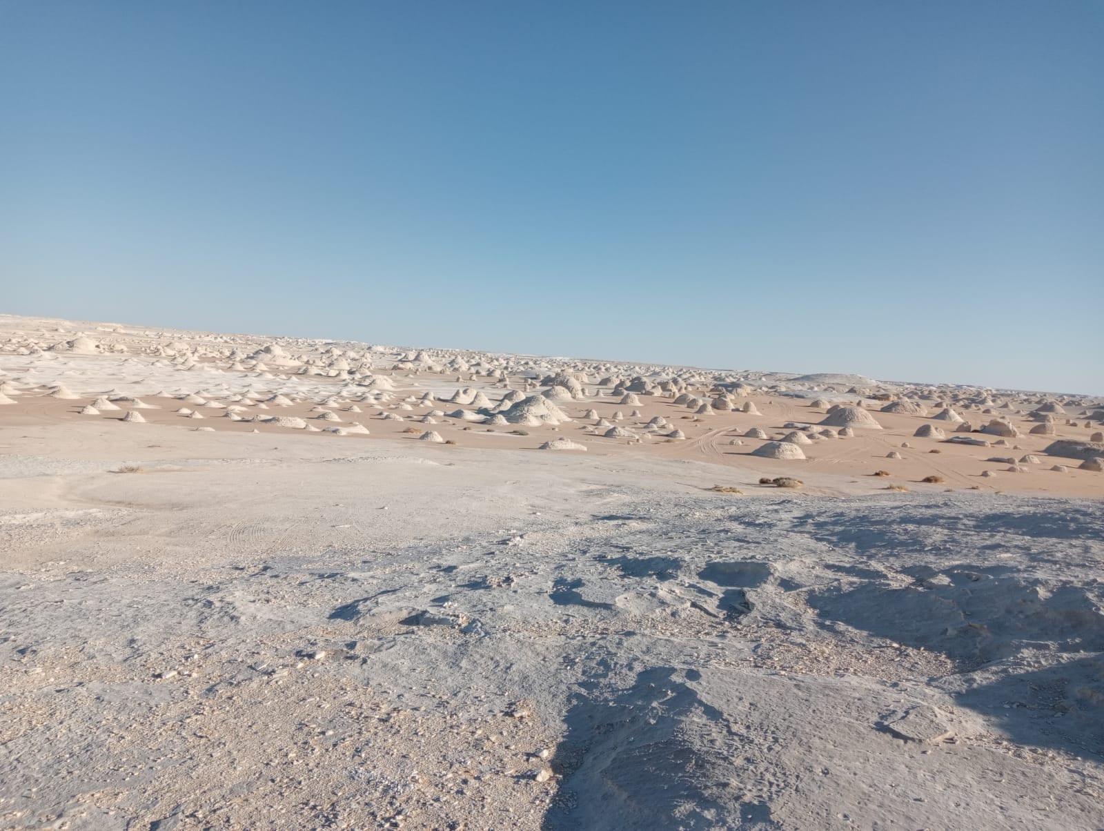 Click to open image!