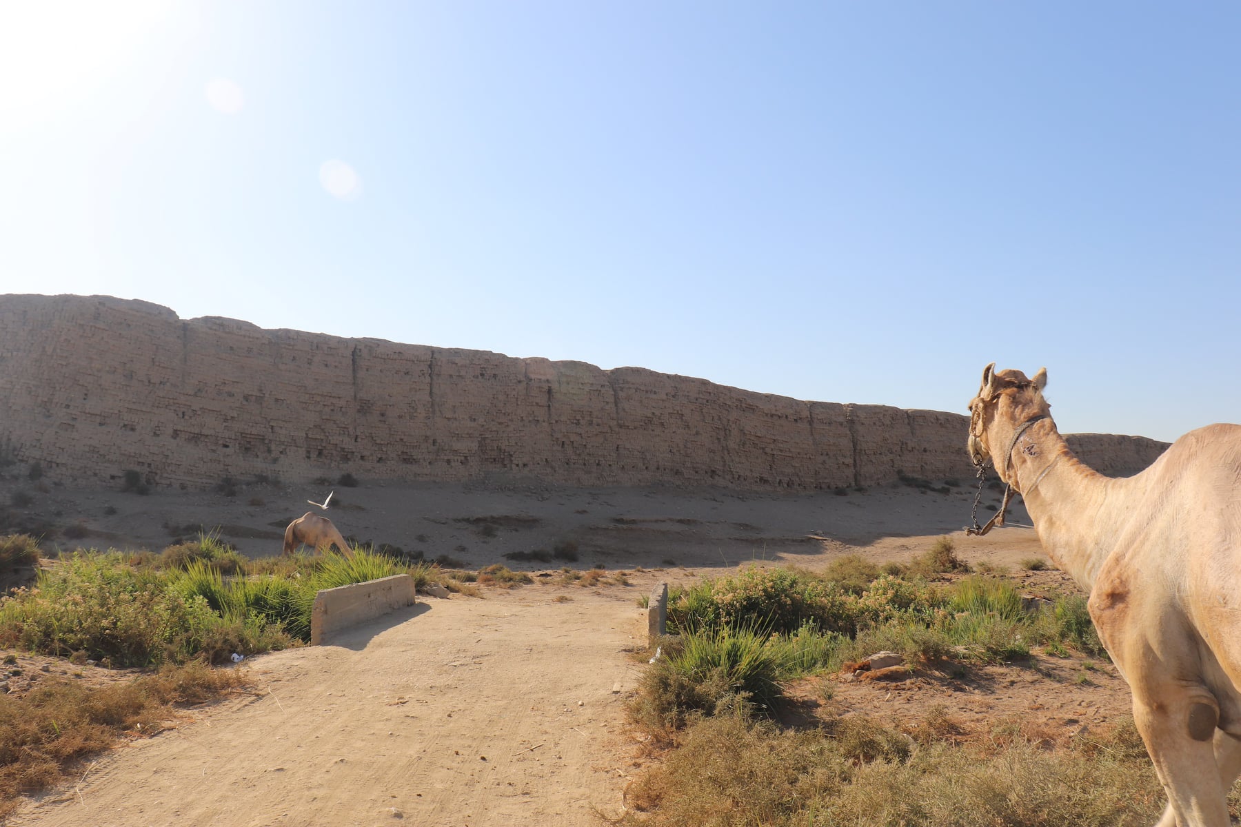 Click to open image!