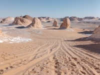 Baharya oasis white and black desert
